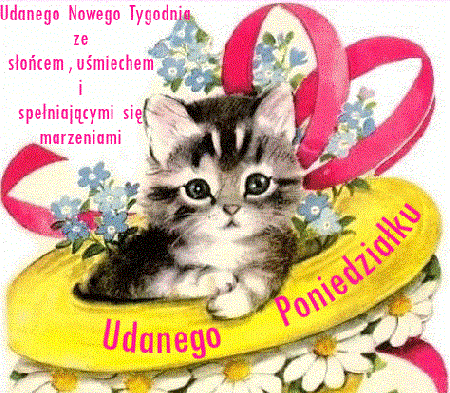 Malutki kotek udanego poniedziałku